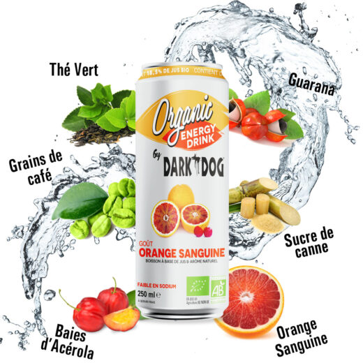 boisson-energisante-bio-orange