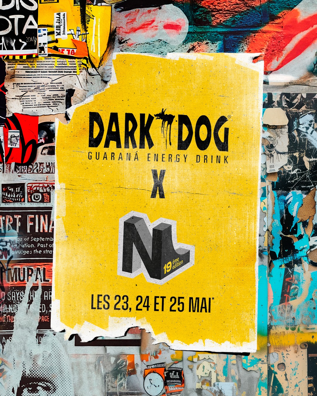 NL Contest 2025 x Dark Dog